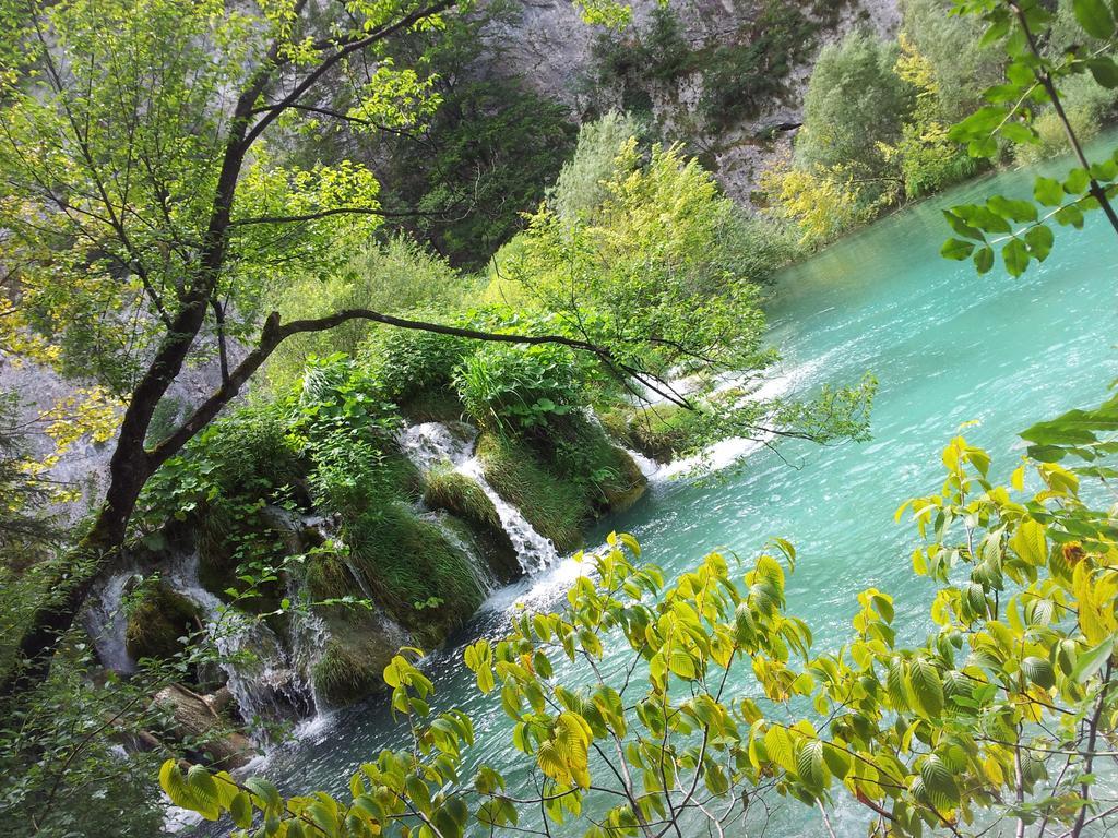 Guest House Family Varda Plitvice Lakes Plitvička Jezera Eksteriør billede