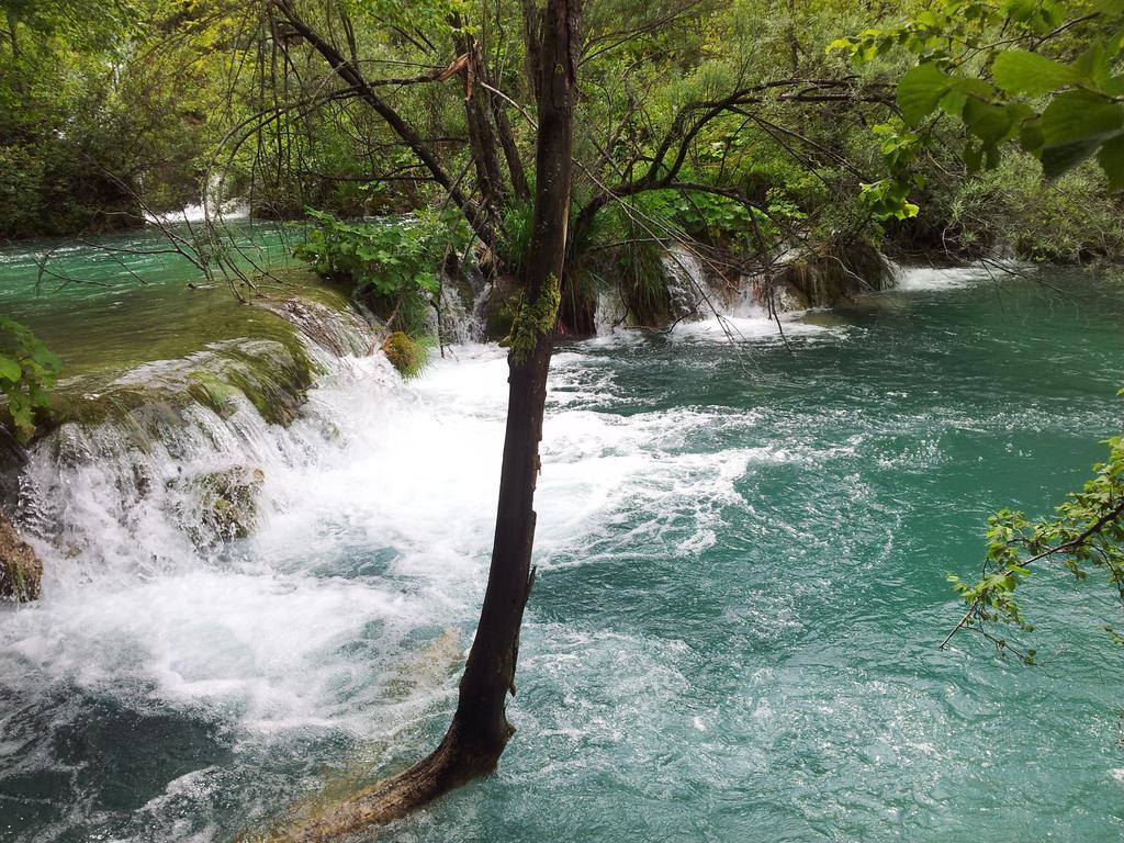 Guest House Family Varda Plitvice Lakes Plitvička Jezera Eksteriør billede